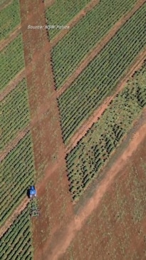 Police bust illicit tobacco syndicate in NSW