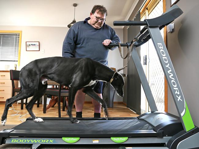 Barry Smith is an owner and trainer of greyhounds who decided to shelve his retirement to fight back against negative stereotypes of an industry to which he has dedicated his life. He also is busy exercising the likes of dog Monahan Bully. Picture: SAM ROSEWARNE