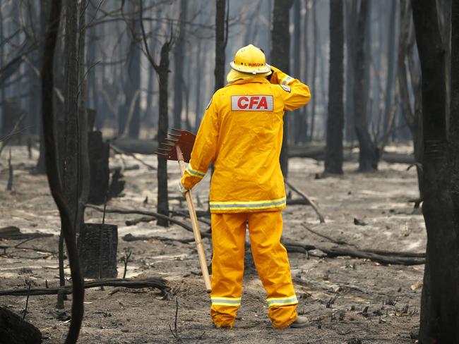 Victorian Fires Special. Mallacoota fire recovery feature. CFA firefighter Lindsay McHugh from South Morang checking smoldering trees and ground near the town.   Picture: David Caird