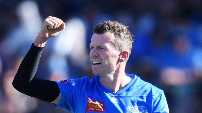 Peter Siddle has enjoyed a strong start to BBL09 bowling at the death for Adelaide.