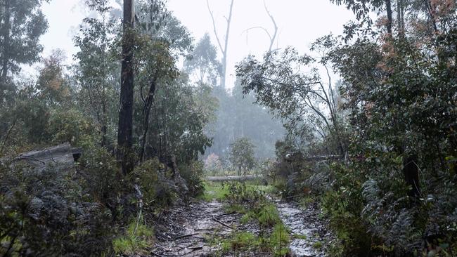 The search is taking place in a remote area of the high country. Picture: Jason Edwards