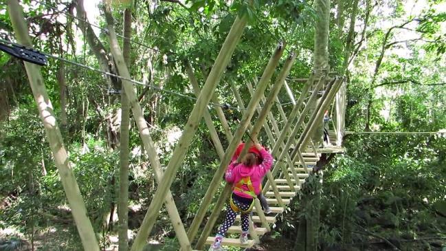 Australia’s largest junior adventure course on the Gold Coast