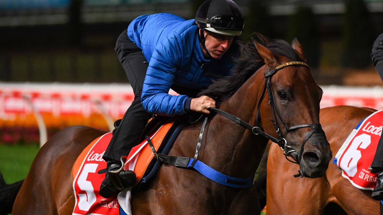 Moonee Valley Trackwork Session