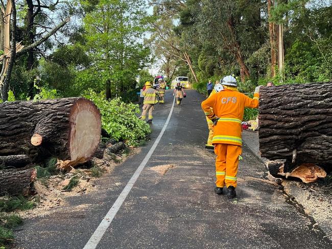 Burnside CFS cleaning up after the storms. Picture: Burnside CFS