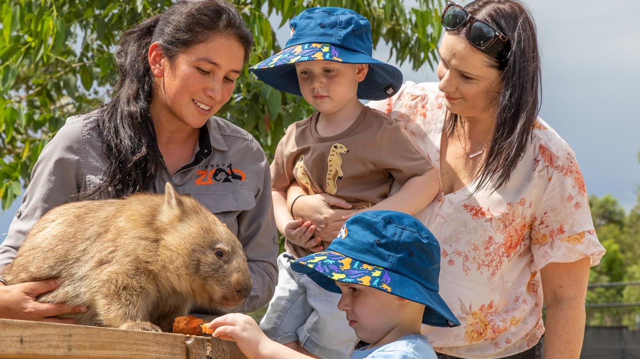 sydney-zoo-families-can-t-get-enough-of-new-attraction-daily-telegraph