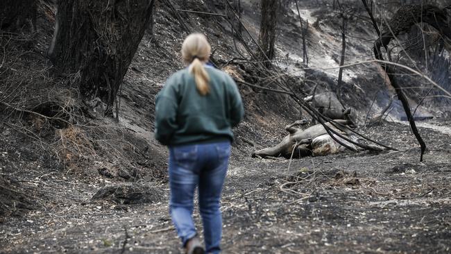 Susan Whitbread on her property where she has lost $40,000 worth of cattle in a bushfire that tore through Ewingbar in northern NSW. Picture: Dylan Robinson