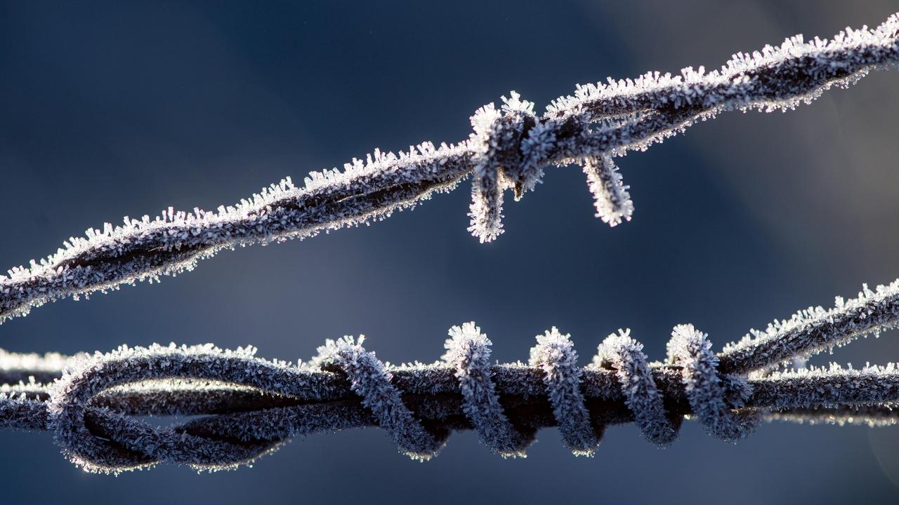 Frost bites after windy conditions