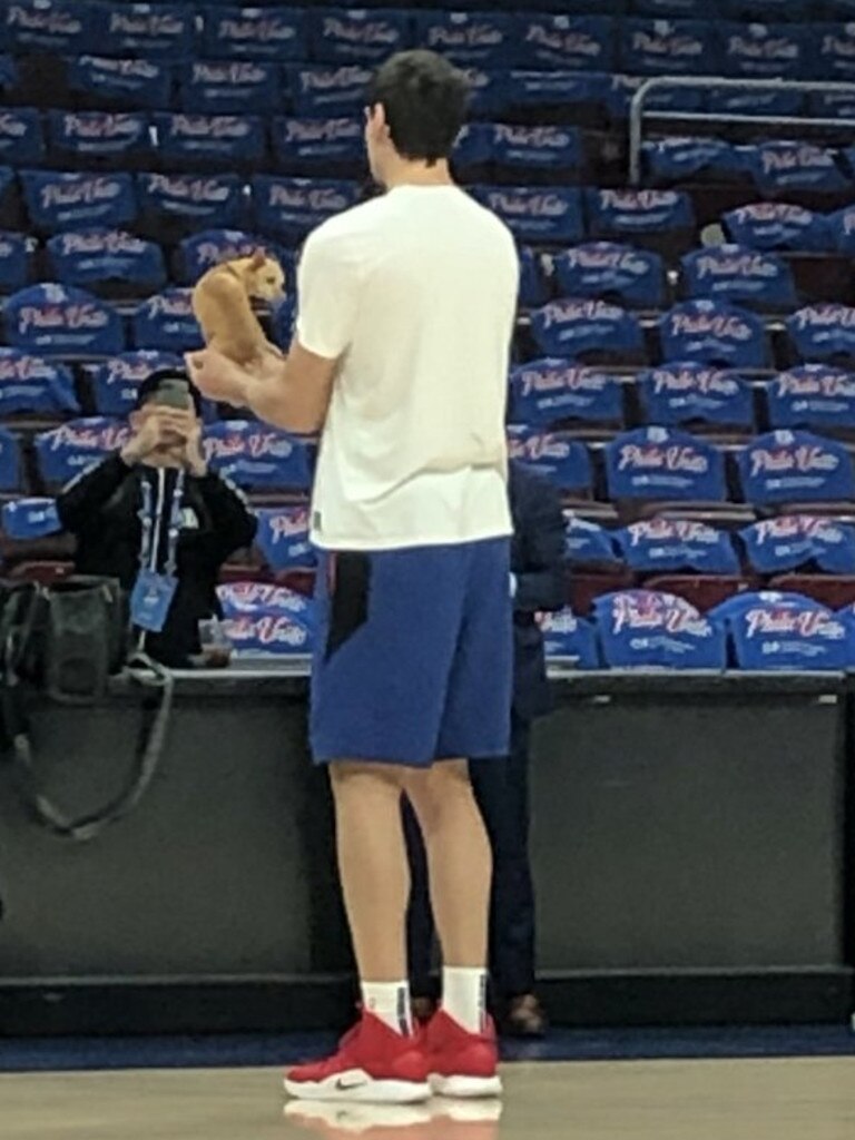 Boban Marjanovic's hands are 14 - Basketball Network