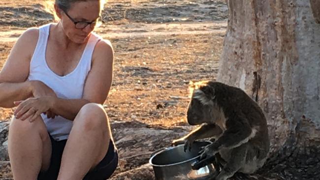 Libby Swan with a koala on her property at Inverell, NSW, after the bushfires. Picture: Zoe Swan