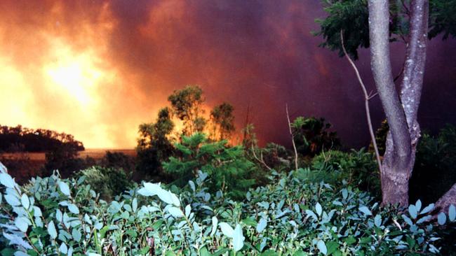 1994 bushfires on the northern beaches.