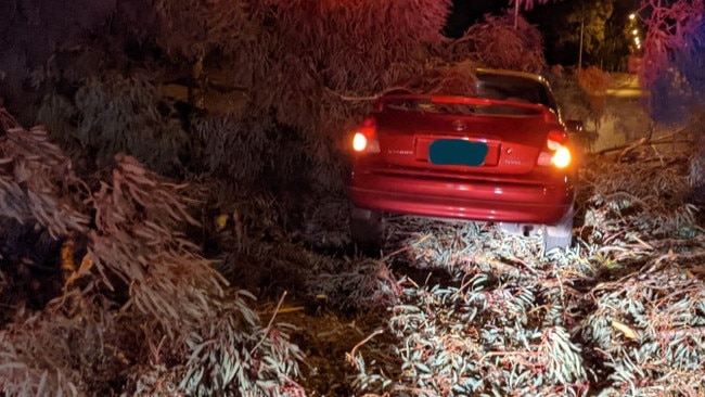 A Toyota sedan crashed into a fallen tree at Redwood Park overnight. Picture: Supplied/SA Police