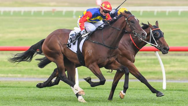 War Critic can notch another win for jockey Jamie Kah and trainers Mathew Ellerton and Simon Zahra at Sandown.