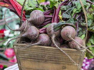For The Weekly Times Country Living gardening Feb 24 2021:  For a root vegetable in your garden think about planting beetroot. Picture: Fawcett Media