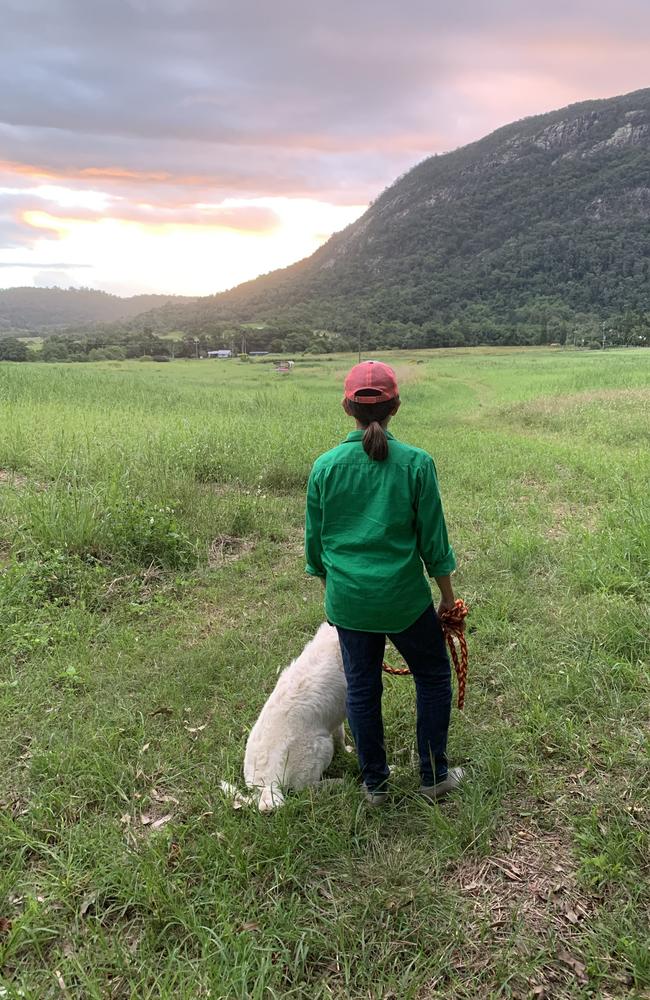 Mount Jukes Family Farm is expanding its food truck into a full Italian agritourism experience just half an hour from Mackay. Photo: Contributed