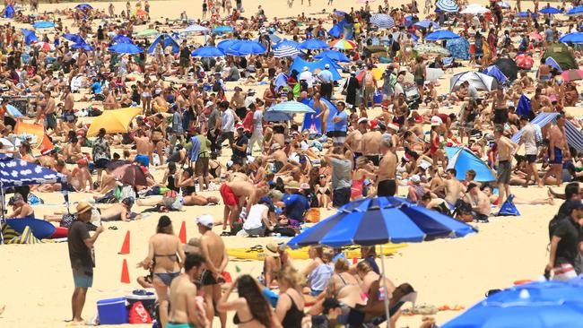 Crowded beach in Sydney showing number of people