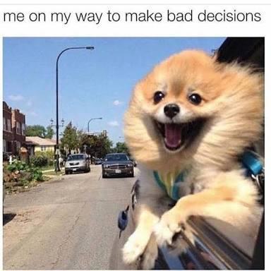 Bad decisions meme