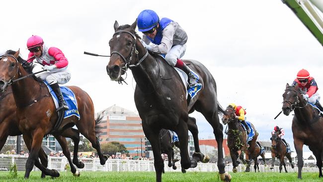 Angel Capital looks the leading Victorian contender in the Caulfield Guineas on Saturday. Picture: Reg Ryan/Racing Photos via Getty Images