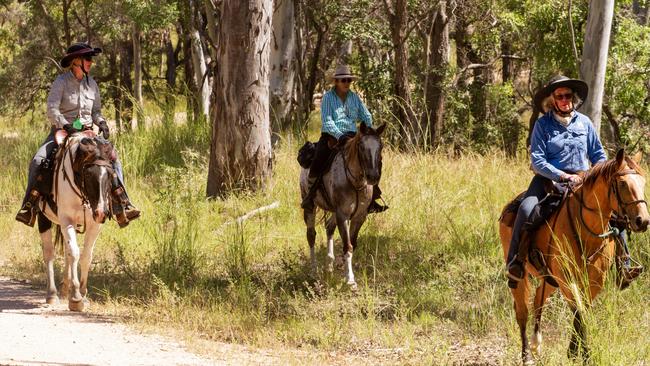 Scenes from the Eidsvold Cattle Drive 2024.