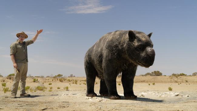 The mighty 2m tall and 3.5m long Diprotodon was just one of the many species of megafauna that dominated the landscape for millions of years. Picture: ABC