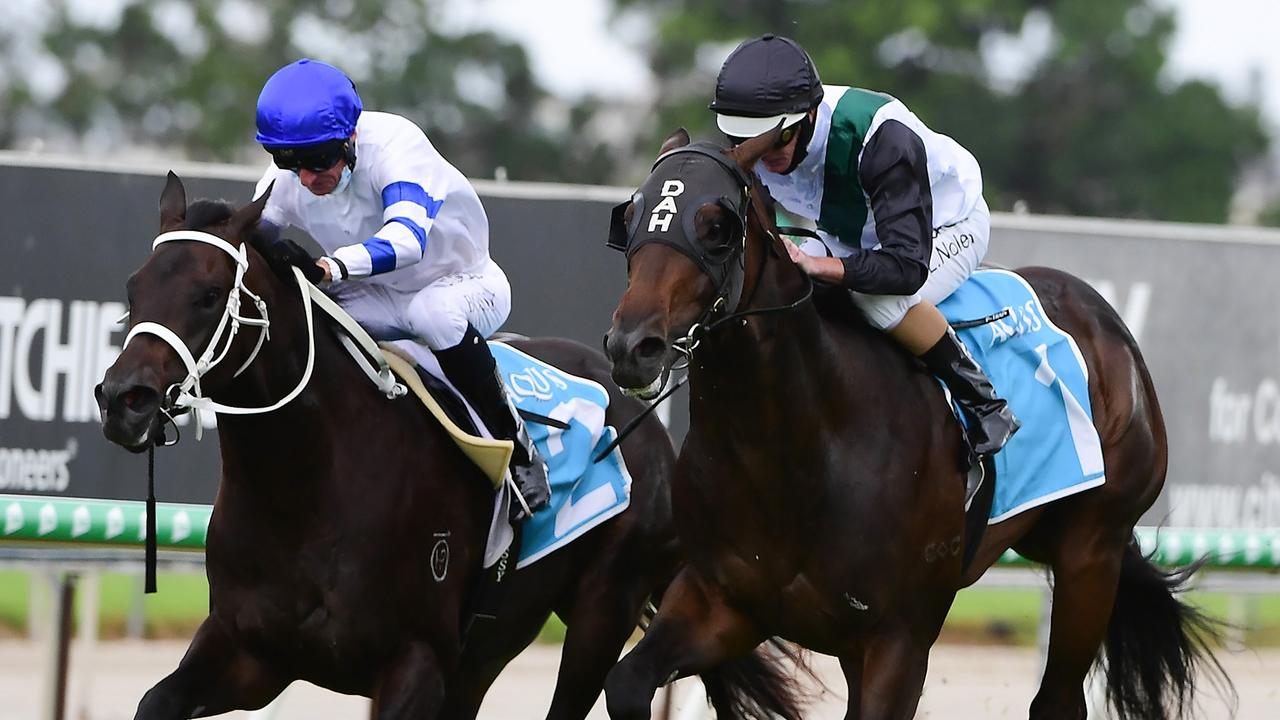 Supplied Editorial Two-year-old Finance Tycoon wins at the Gold Coast on Saturday.
 Credit: Grant Peters, Trackside Photography