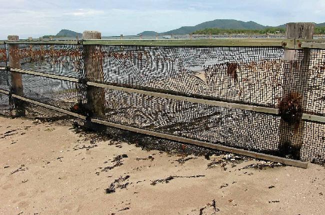 DISGRACE: Holes continue to appear in the Dingo Beach stinger net and local resident Frank Johnson is questioning council’s maintenance at the site.