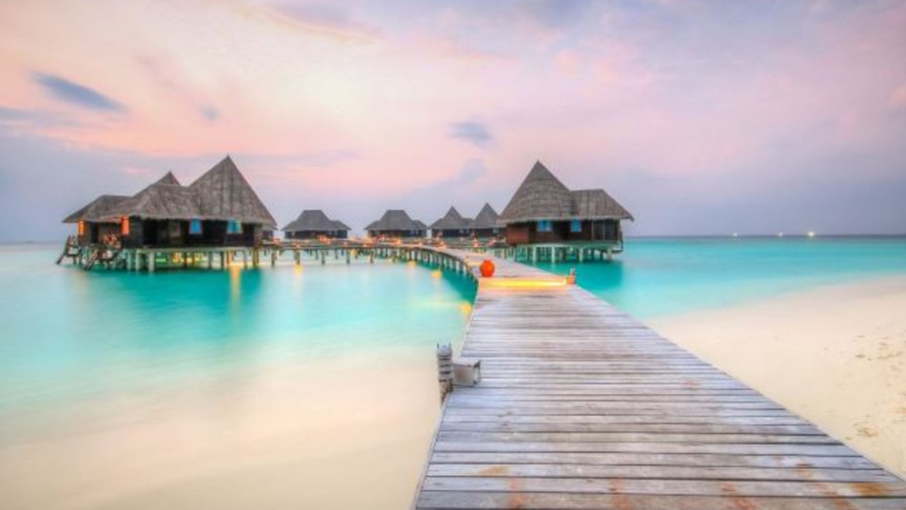 Maldives luxury hotel seeks intern to work in turtle rescue centre ...