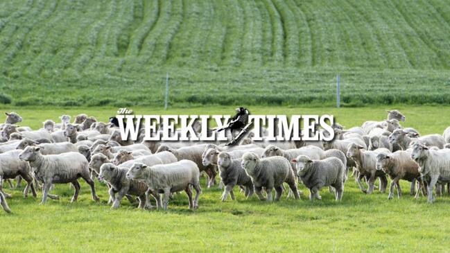 The Weekly Times: Challenges and Opportunities for Australia's Sheep Industry