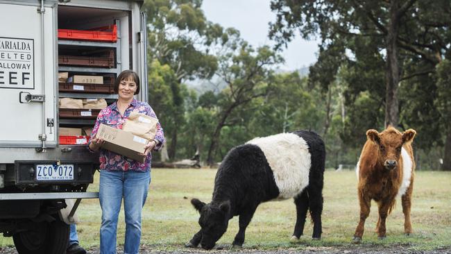 Warialda Belted Galloway Beef’s Lizette Snaith said she is looking for other options to slaughter her small numbers of Belted Galloway cattle. Picture: Zoe Phillips