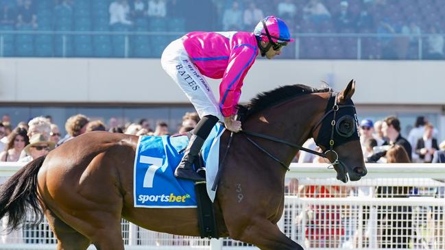 Recommendation on the way to the barriers prior to the running of  the Sportsbet Oakleigh Plate at Caulfield Racecourse on February 24, 2024 in Caulfield, Australia. (Photo by Scott Barbour/Racing Photos via Getty Images)