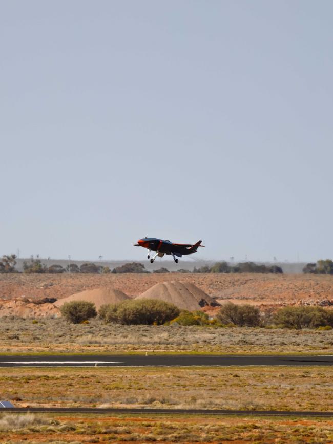 A ghost bat prototype taking off. Picture: Supplied