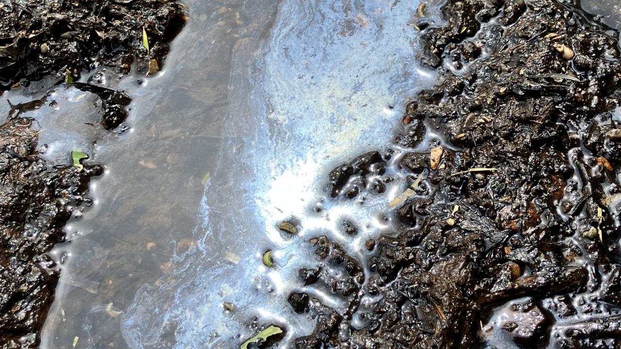 Dedicated oiled wildlife spotter deployed, lake clean up continues