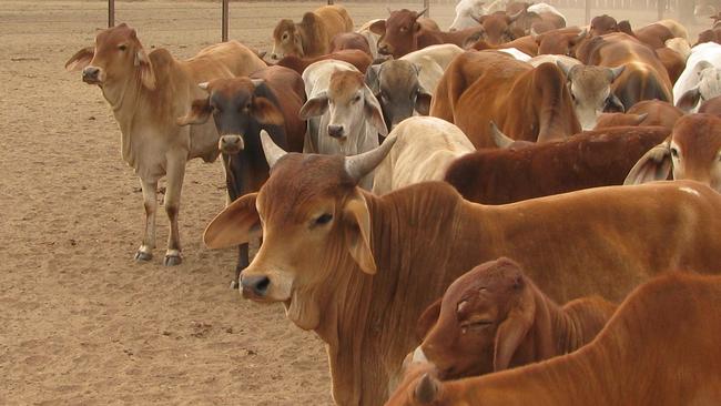 Northern Territory grazier Rod Dunbar's million acre cattle property, Nutwood Downs Station, where he is in dispute with Origin over Shale Gas exploration and access to his property.