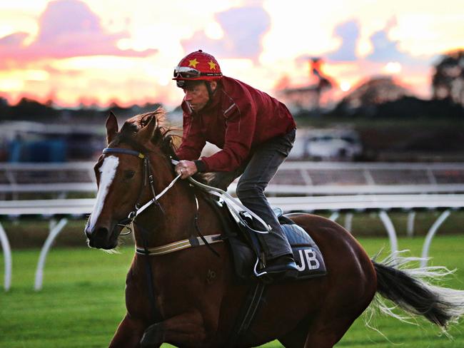 Michael Cahill on Queen of Wands .Oaks horses and Stradbroke horses at EAGLE FARM. Pic Annette Dew