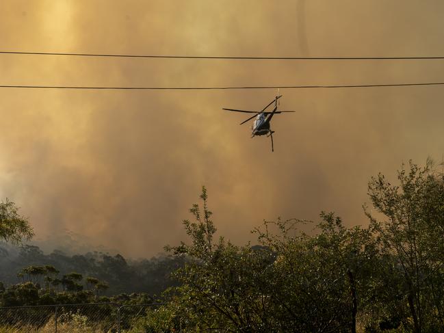 SYDNEY, AUSTRALIA. NewsWire Photos. September 21, 2024.Firefighters are working to control a hazard reduction burn at Oxford Falls as residents are being urged to prepare to leave Northern Beaches suburb Picture: NewsWire / Jeremy Piper