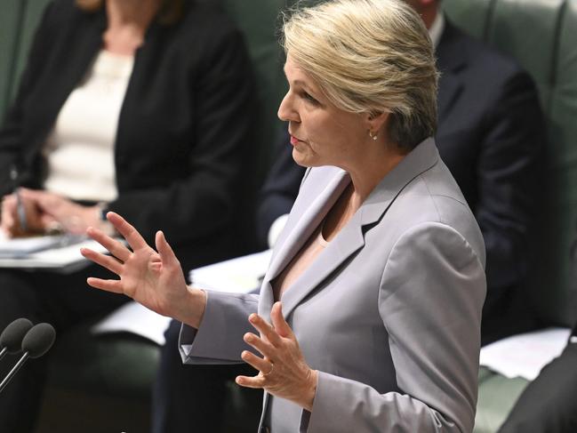 CANBERRA, Australia, NewsWire Photos. June 6, 2024: Minister for the Environment and Water Tanya Plibersek during Question Time at Parliament House in Canberra. Picture: NewsWire / Martin Ollman