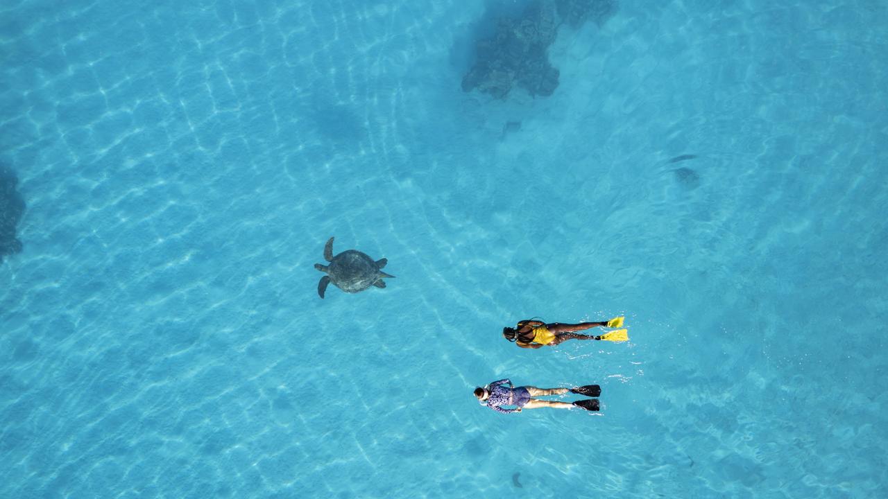 Visitors to the Far North could win a trip to the Great Barrier Reef and become a ‘Guardian of the Reef’ in a world-first conservation initiative launched by Tropical Tourism North Queensland and Expedia. Photo: Supplied.