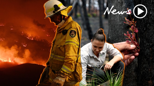 Before and after: The results of Australia’s devastating bushfires