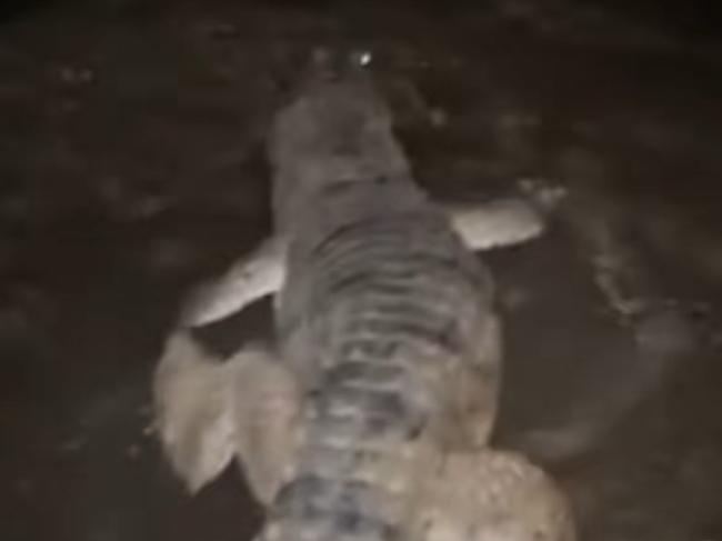 Man snags a crocodile in Queensland's north. Picture: @snagaddict