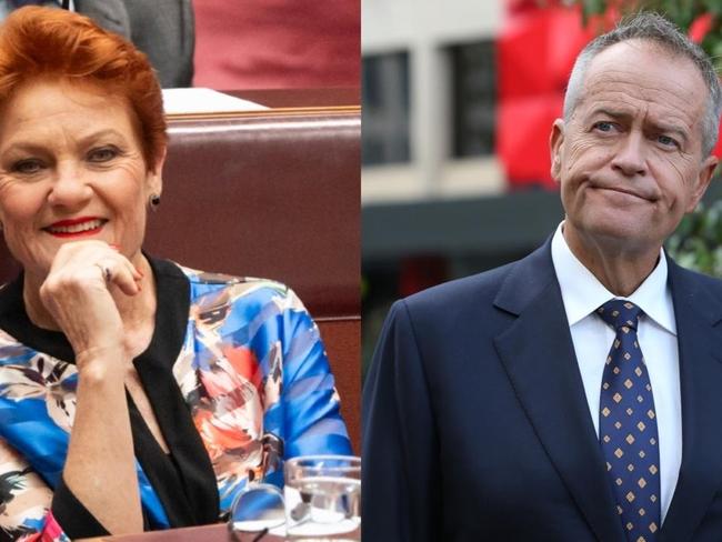 ‘Ripping the guts out of it’: Pauline Hanson set to target NDIS abusers