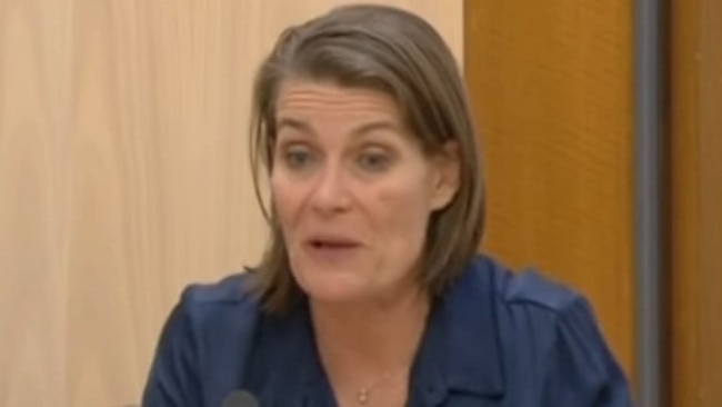 NSW Senator and Nationals deputy leader Perin Davey said she had two glasses of red wine before her appearance in the Senate on February 13, 2024. Picture: Supplied