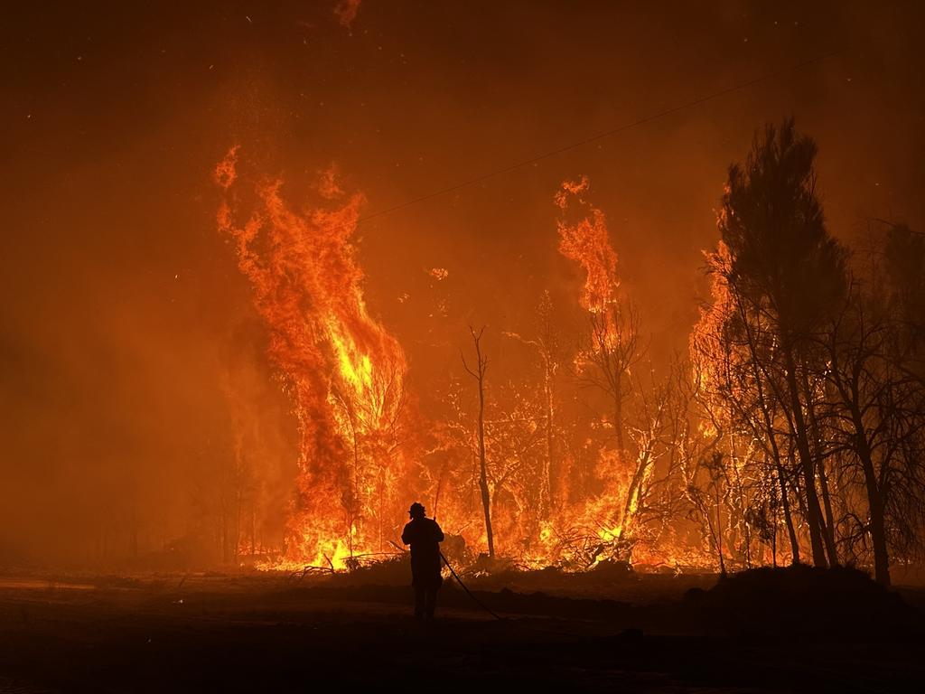 Australia has been tipped for a scorching summer this year, with climate researchers warning that humans will need to ‘adapt or die’ in the coming decades.