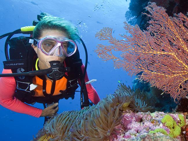 Currumbin filmmaker Lin Sutherland, producer of 'Beauty and the Reef' with anemone and fan coral on the Great Barrier Reef