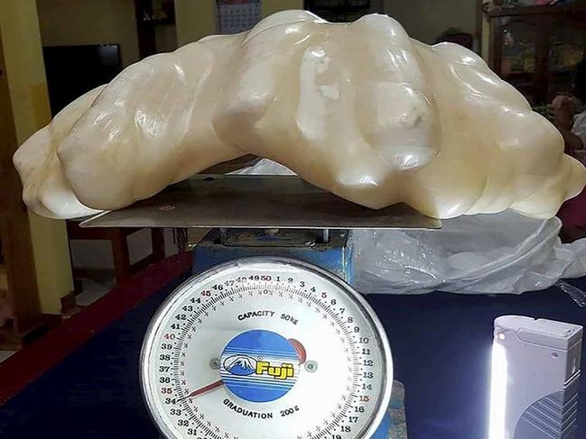 CREDIT: Snapper ONLINE USE ONLY This giant pearl could be the biggest ever found in the world after being handed in by a FISHERMAN See SWNS story SWPEARL The man who has not been identified found the priceless 34kg gem ten years ago in sea off the coast of Palawan Island Philippines He didn t know the potential eye watering value and kept it as a good luck charm in his rundown wooden home But a fire at the property earlier this year forced him to have a clear out and move house