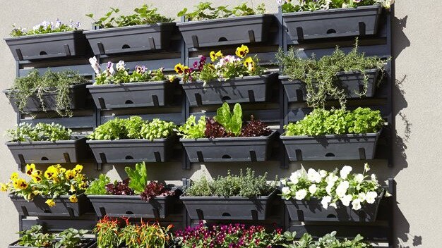 Help mum build a vertical garden and she’ll be reminded each time she heads outside of the time you spent together. Picture: Supplied