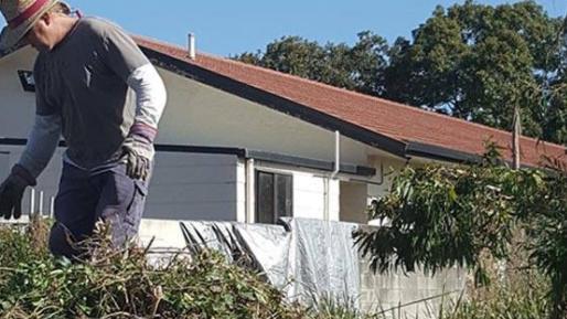 Volunteers cleaning up Black Swan Lake on the Gold Coast.