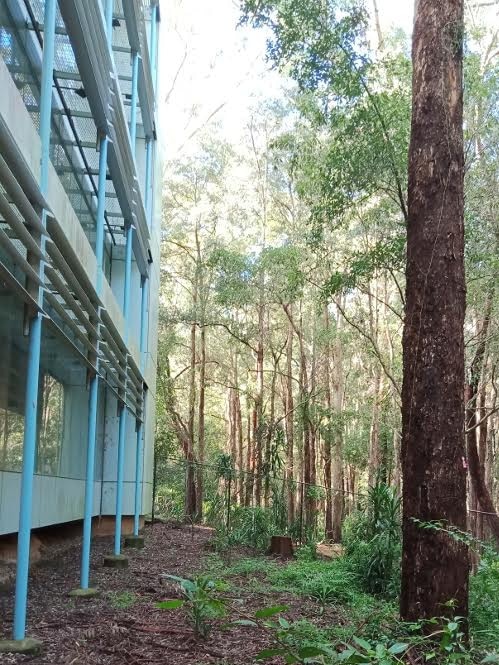 The old IBM site at West Pennant Hills. Picture: Supplied