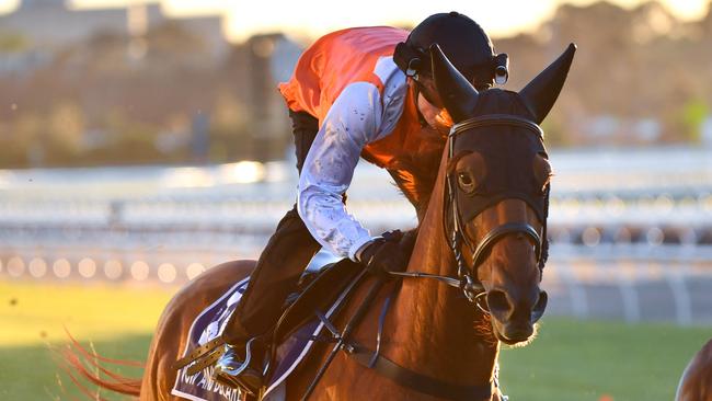 Craig Williams rides Vow And Declare at Flemington. Picture: AAP