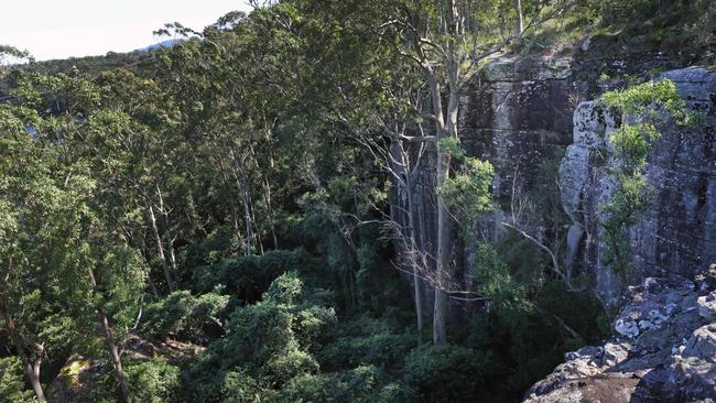 Airlie was found deceased in The Grotto Reserve, North Nowra. Picture: Richard Dobson