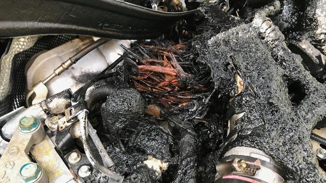 The twigs can be seen in the burnt nest on the car engine. Picture: CFA