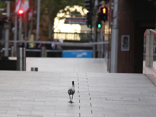 Martin place after the siege ended. Pic John grainger